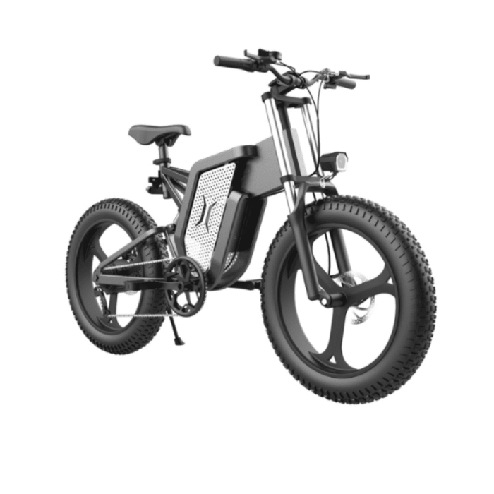 x20 vélo électrique